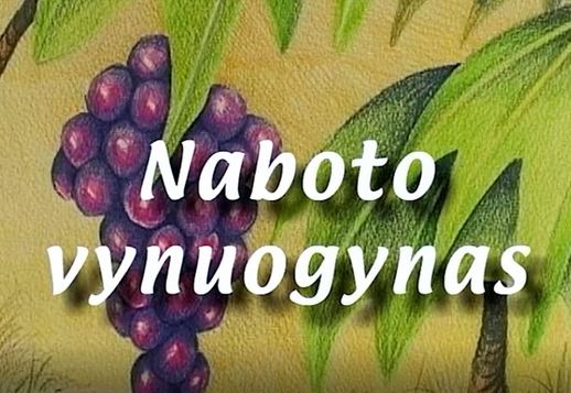 Naboto vynuogynas