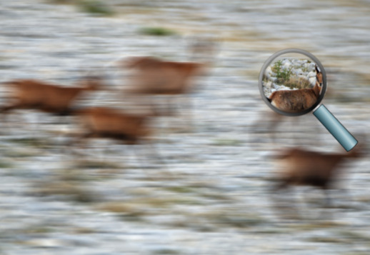Ar atpažinsi, kas a&scaron;? Vorschau