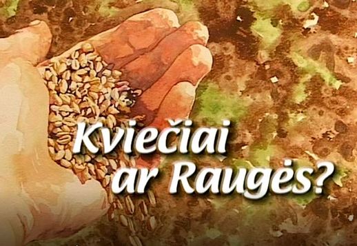 Kviečiai ar raugės? Vorschau