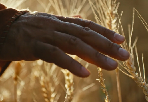 Evangelija pagal Luką, 6, 1-16 Vorschau